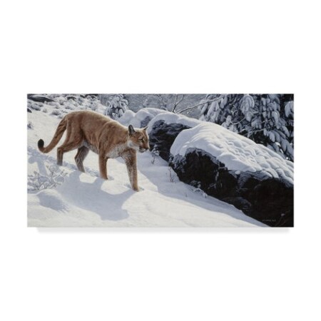 Ron Parker 'Soft Snow Cougar' Canvas Art,10x19